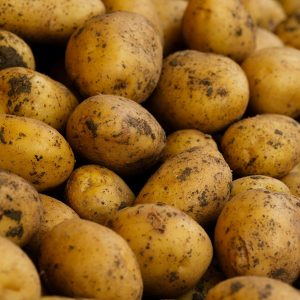 a pile of potatoes with dirt on them