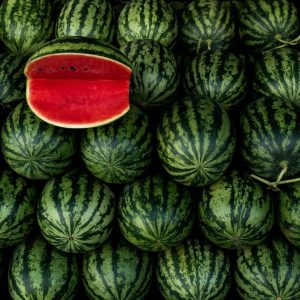 a large pile of watermelon with a piece of watermelon on top