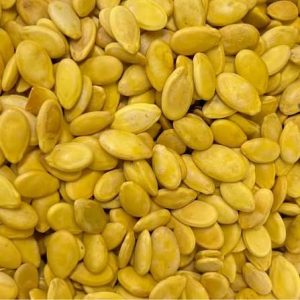 بذر مصري وسط أصفر