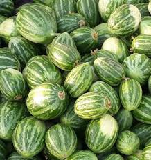 عجور بلدي